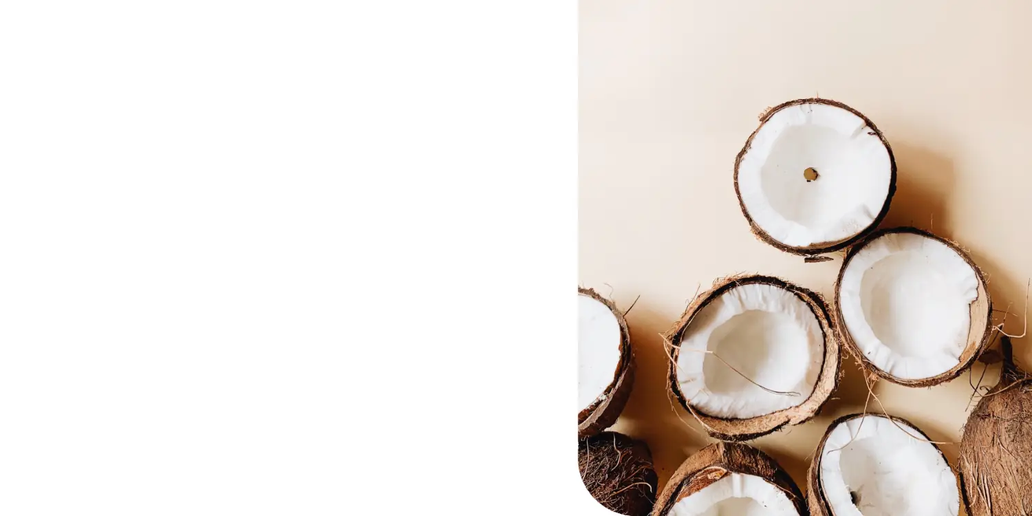 Your Reliable Coconut Products Partner from Indonesia