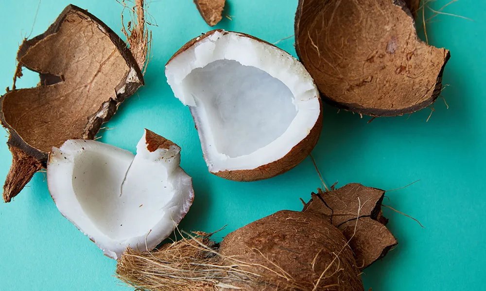10 Ways to Buy Coconut Cream in Bulk