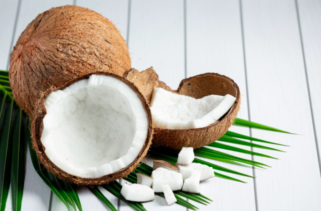 7 Trusted Coconut Product Manufacturers in Indonesia with Export Quality