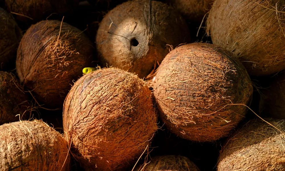 A Complete Guide to Choosing Desiccated Coconut for Food Manufacturers