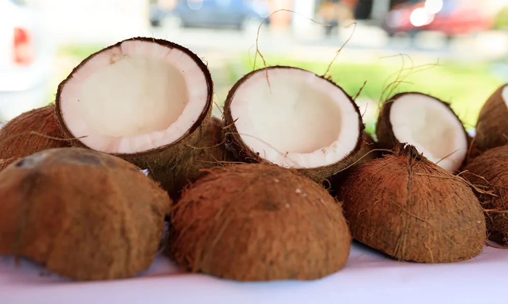 A Complete Guide to Coconut Milk for Food Manufacturers
