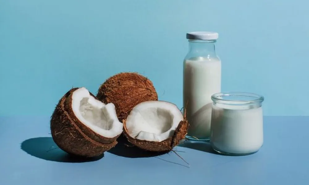 15 Coconut Milk Suppliers Around the World