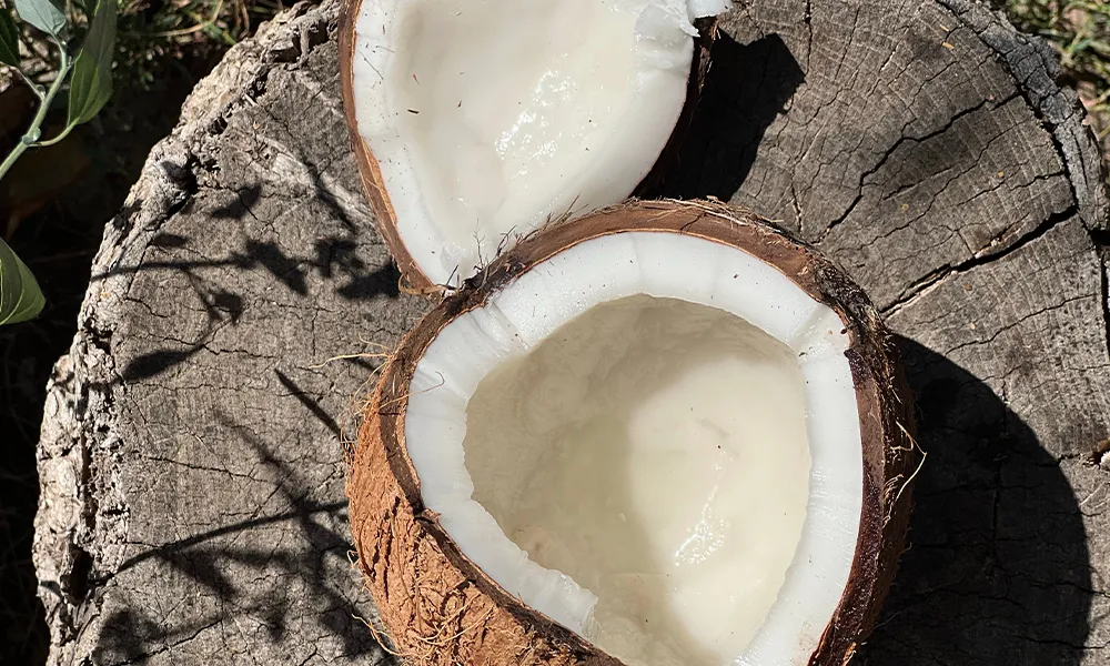 Coconut Milk Uses and Benefits for Food Manufacturers