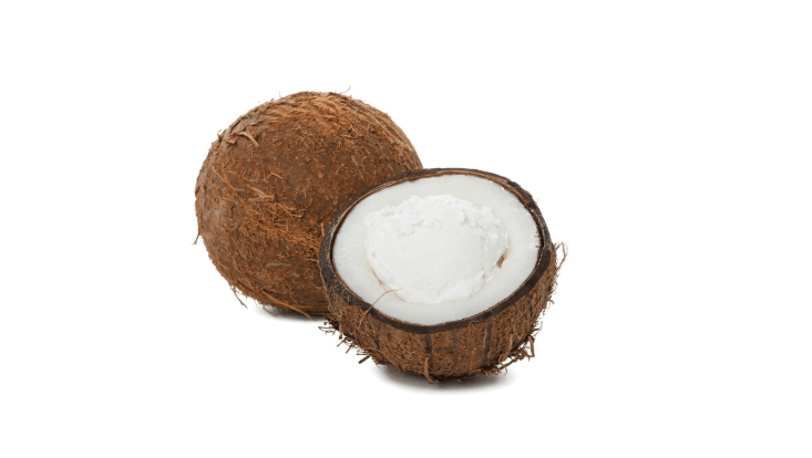 Desiccated Coconut Exporters from Around the World Top Global Suppliers