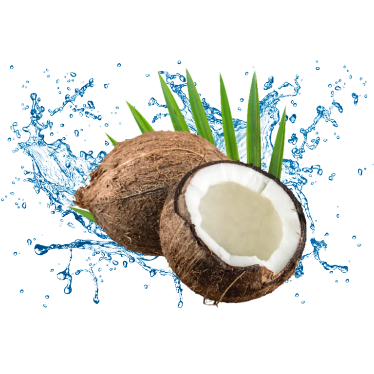Indonesian Coconut Fact
